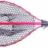 Berkley Telescopic Catch N Release Net