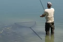 Korda Spring Bow Net Schepnet (42 Inch) 21 Korda Spring Bow Net Schepnet (42 Inch) -Beetmelders WInkel 2decb53498493881