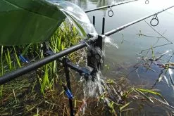 Radical Sensonic Beetmelder Yellow