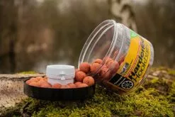 Solar Hardened Hookbaits Quench 16mm + Amino Liquid Booster (30ml)