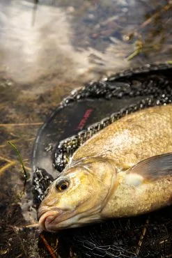 Ultimate Pannet 50x40cm