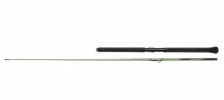 Madcat Green Inline Meervalhengel 2,00m (100-150g) -Beetmelders WInkel ba1a19e6f52187e1