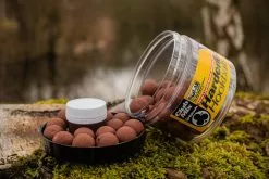 Solar Hardened Hook Baits + Amino Liquid 16mm Club Mix