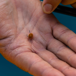 Fjuka Natural 2in1 200gram -Beetmelders WInkel d63055fda4442628